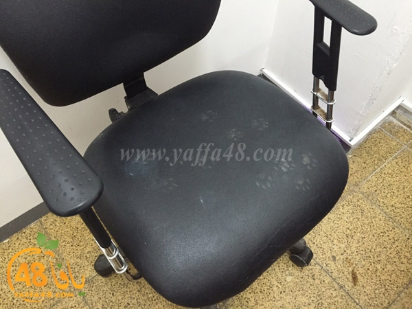 police shamelasj (8).jpg